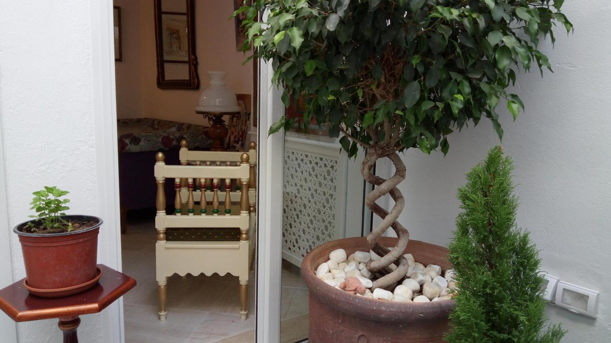Hotel El Patio Courtyard House Tunis Zewnętrze zdjęcie